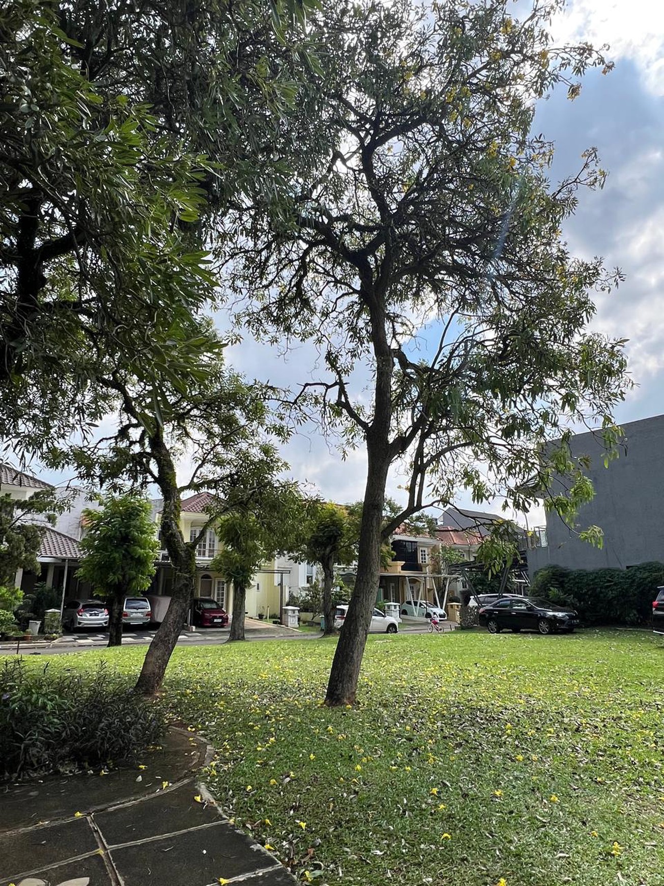 Kavling samping Taman  Versailles BSD city  Jarang ada