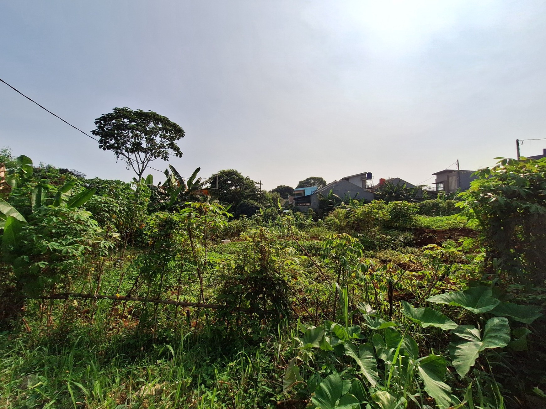 Tanah Seluas 5945 m2 Bonus 6 Rumah di Pamulang - Dekat Toll Ciputat & Mall Sawangan