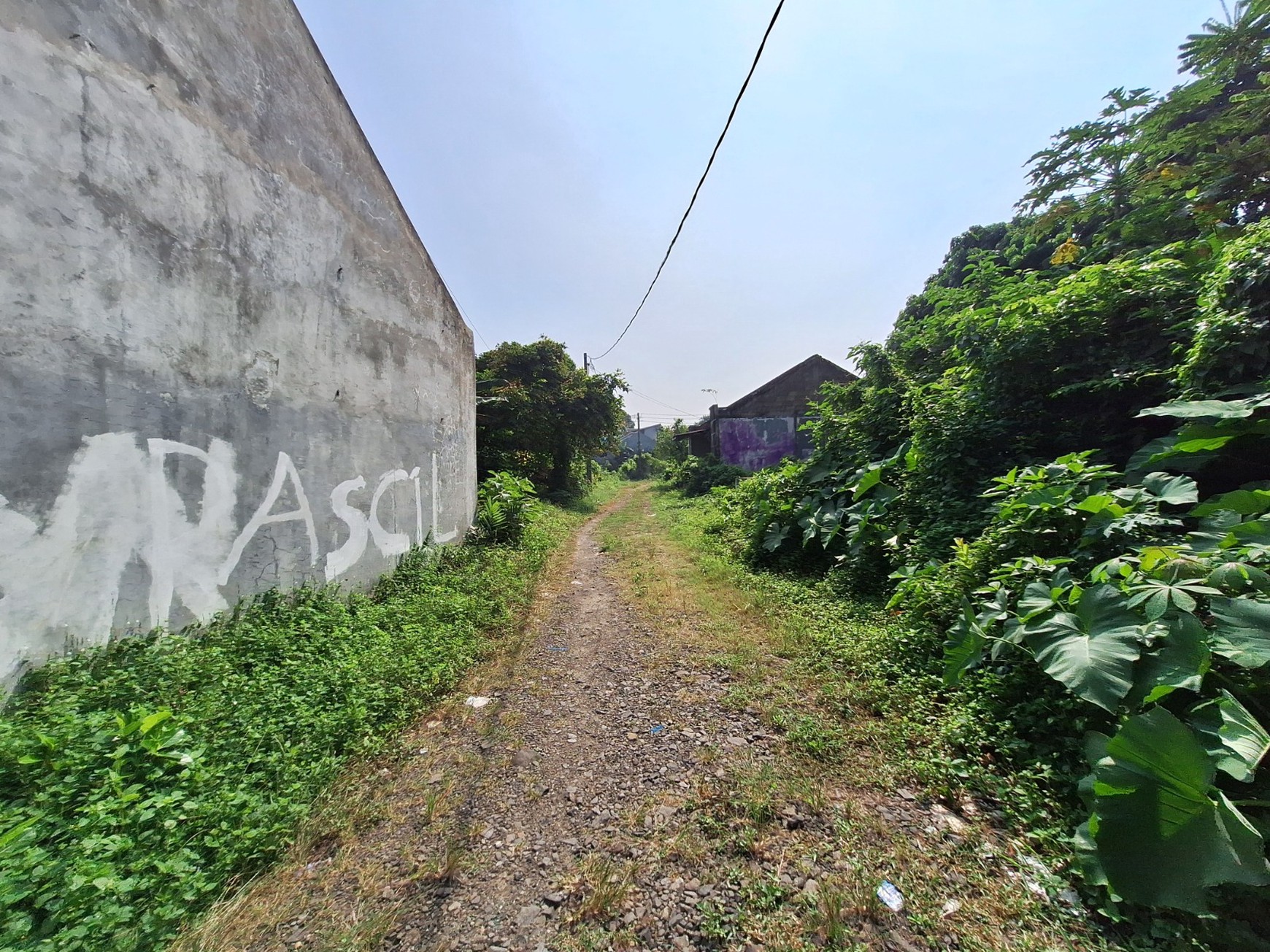 Tanah Seluas 5945 m2 Bonus 6 Rumah di Pamulang - Dekat Toll Ciputat & Mall Sawangan