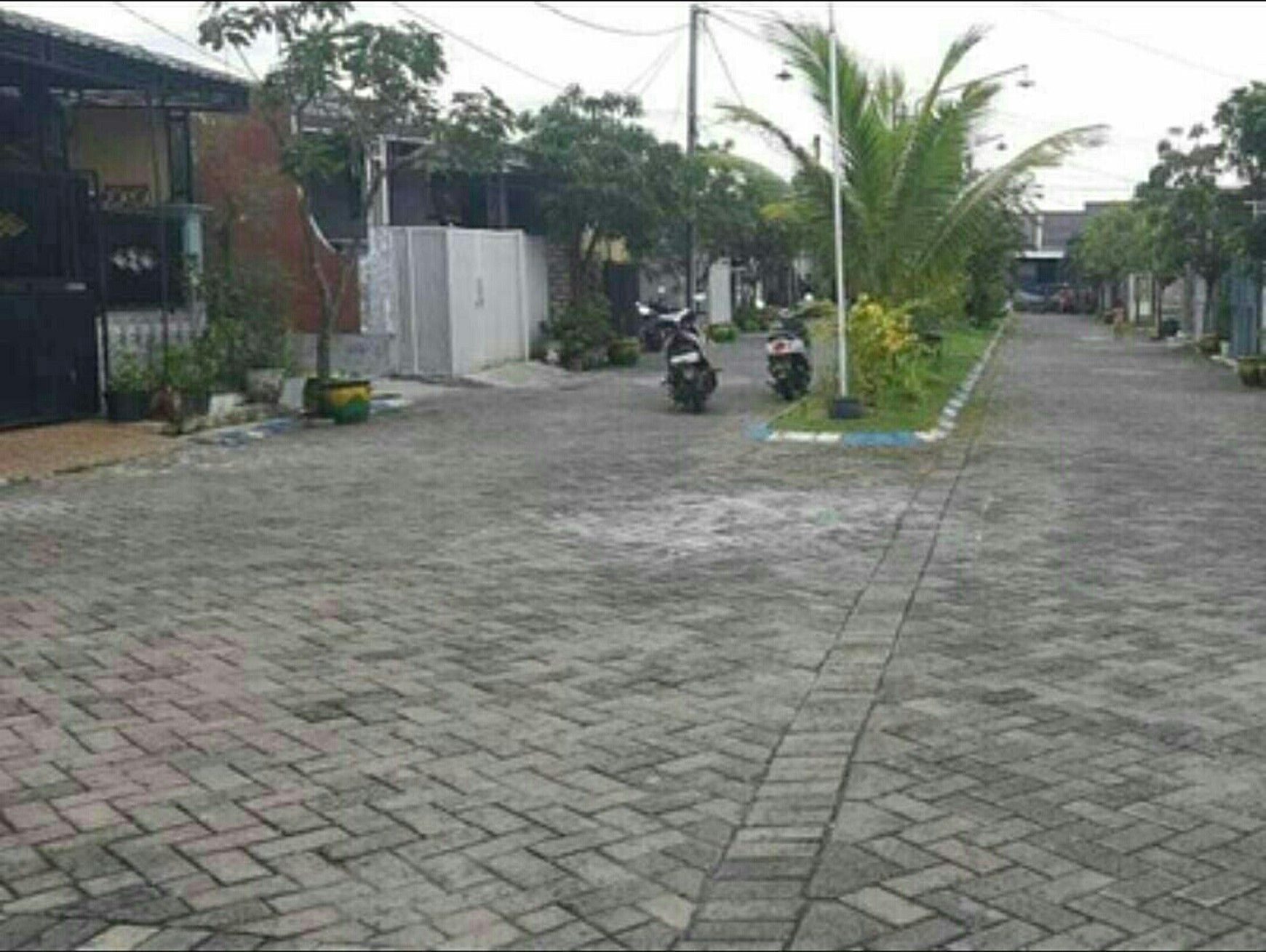 1913. Rumah Swan Menganti Mas Regency Gresik