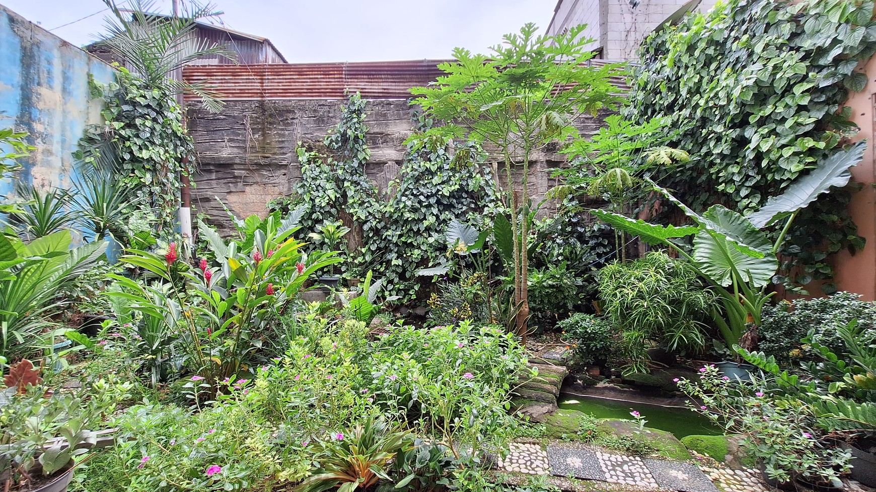 Rumah di Siaga Raya Luas Harga di bawah NJOP Cocok utk Town Houses