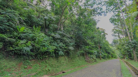 TANAH KAVLING MEGA MENDUNG, PUNCAK, AKSES MUDAH DARI SENTUL CITY, BOGOR