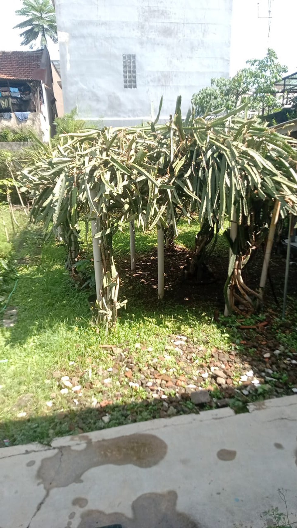 DIJUAL RUKAN2 LANTAI (RUMAH&KANTOR) LOKASI STRATEGIS, DI TENGAH KOTA PUSAT BISNIS/PERKANTORAN,KULINER