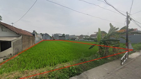 Tanah Sawah 1.313 Meter Persegi Cocok Untuk Kost Ngestiharjo Kasihan Bantul