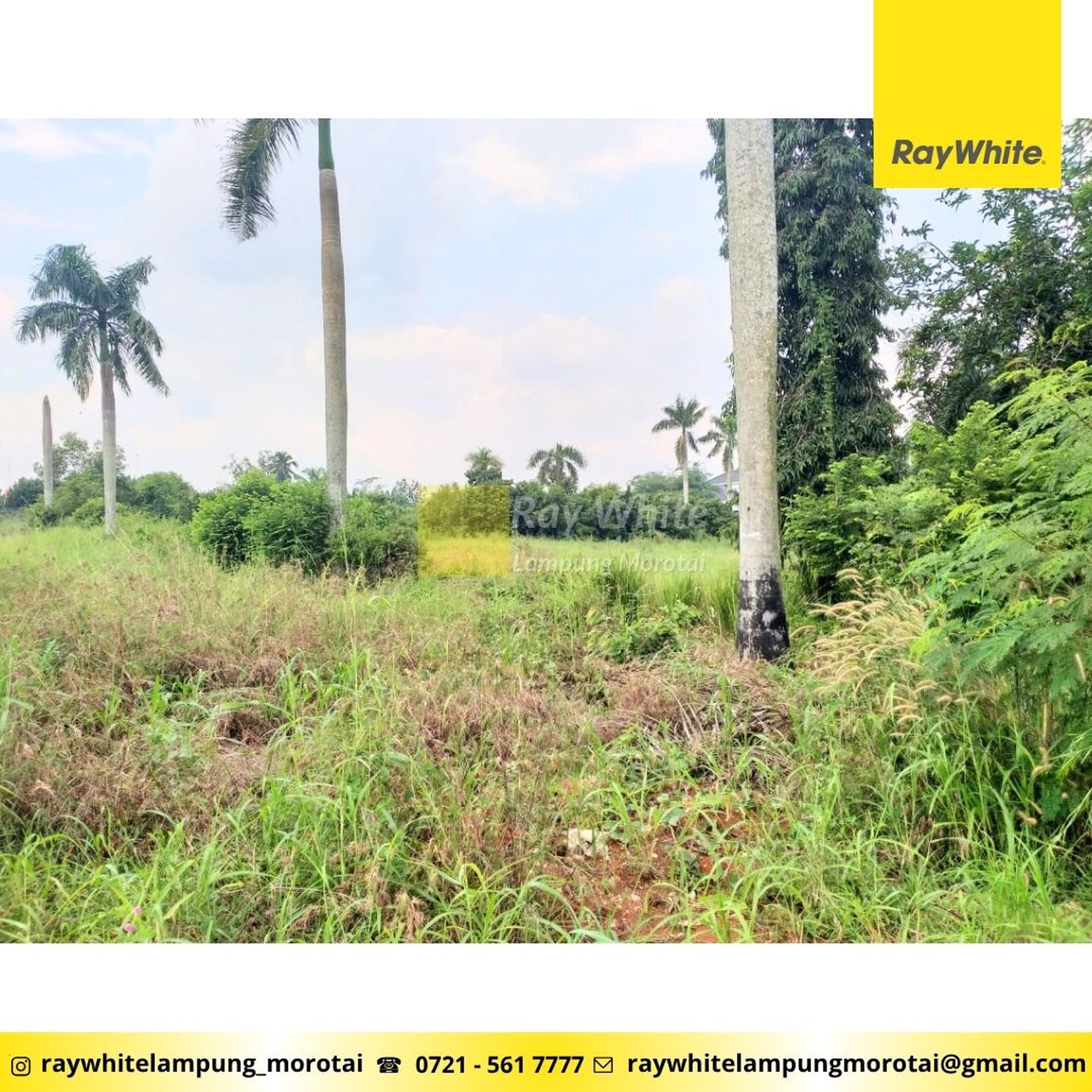 Tanah Datar Pusat Kota Kota Bumi Lampung Utara