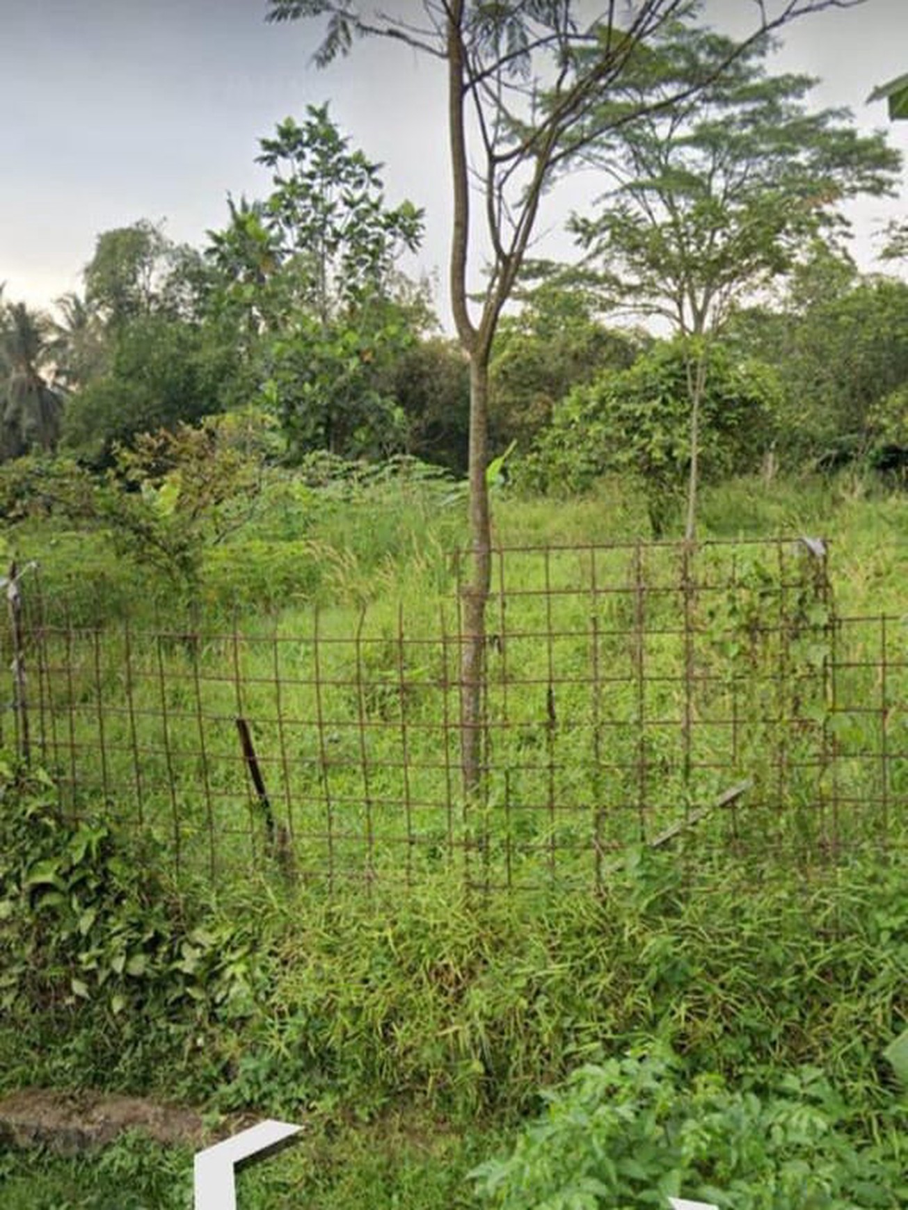 Kavling Siap Bangun di Parung Bogor Jawa Barat.