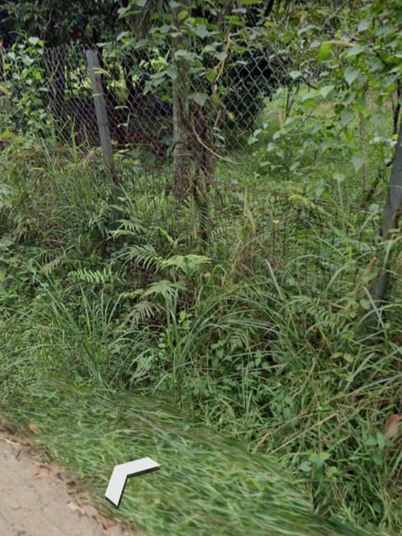 Kavling Siap Bangun di Parung Bogor Jawa Barat.