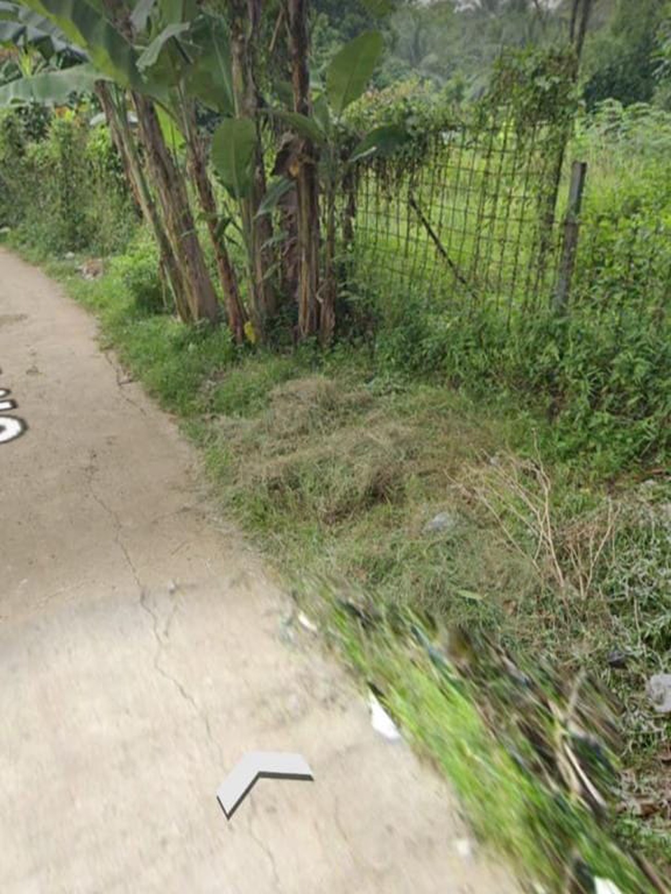 Kavling Siap Bangun di Parung Bogor Jawa Barat.