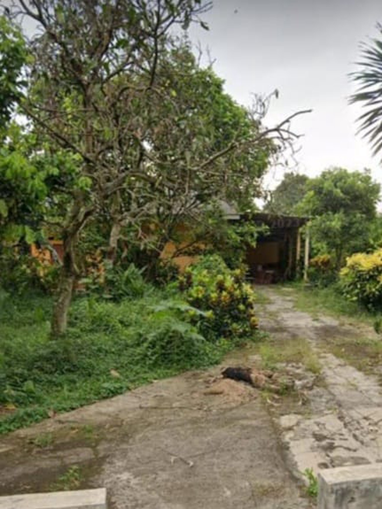 Kavling Siap Bangun di Parung Bogor, Jawa Barat