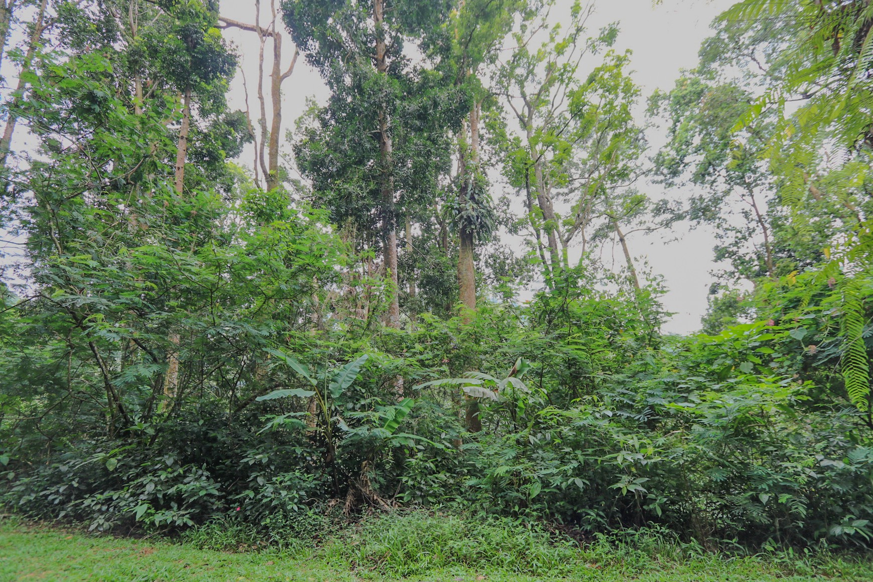 TANAH KAVLING, VIEW INDAH DI MEGA MENDUNG, PUNCAK, AKSES MUDAH DARI SENTUL CITY, BOGOR