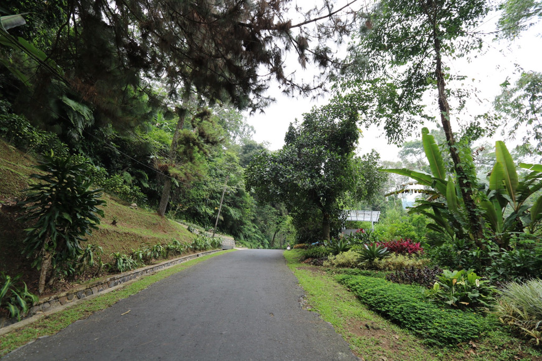 TANAH KAVLING, VIEW INDAH DI MEGA MENDUNG, PUNCAK, AKSES MUDAH DARI SENTUL CITY, BOGOR