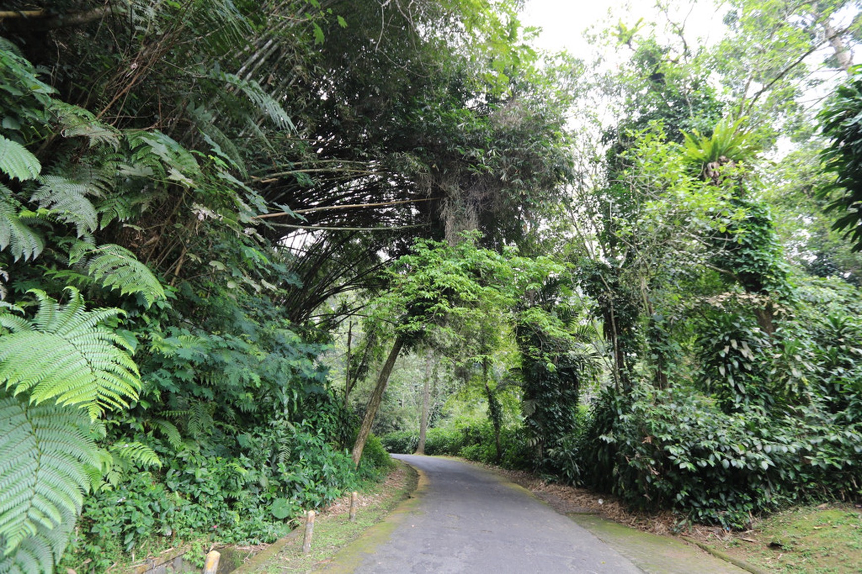TANAH KAVLING, VIEW INDAH DI MEGA MENDUNG, PUNCAK, AKSES MUDAH DARI SENTUL CITY, BOGOR
