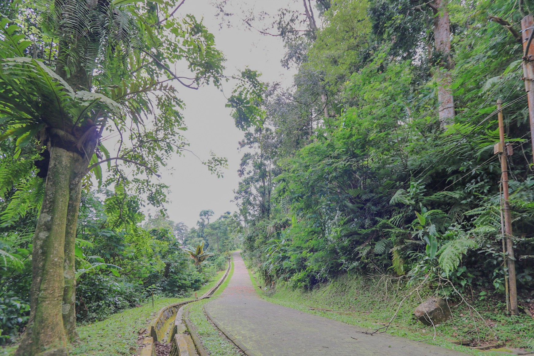TANAH KAVLING, VIEW INDAH DI MEGA MENDUNG, PUNCAK, AKSES MUDAH DARI SENTUL CITY, BOGOR