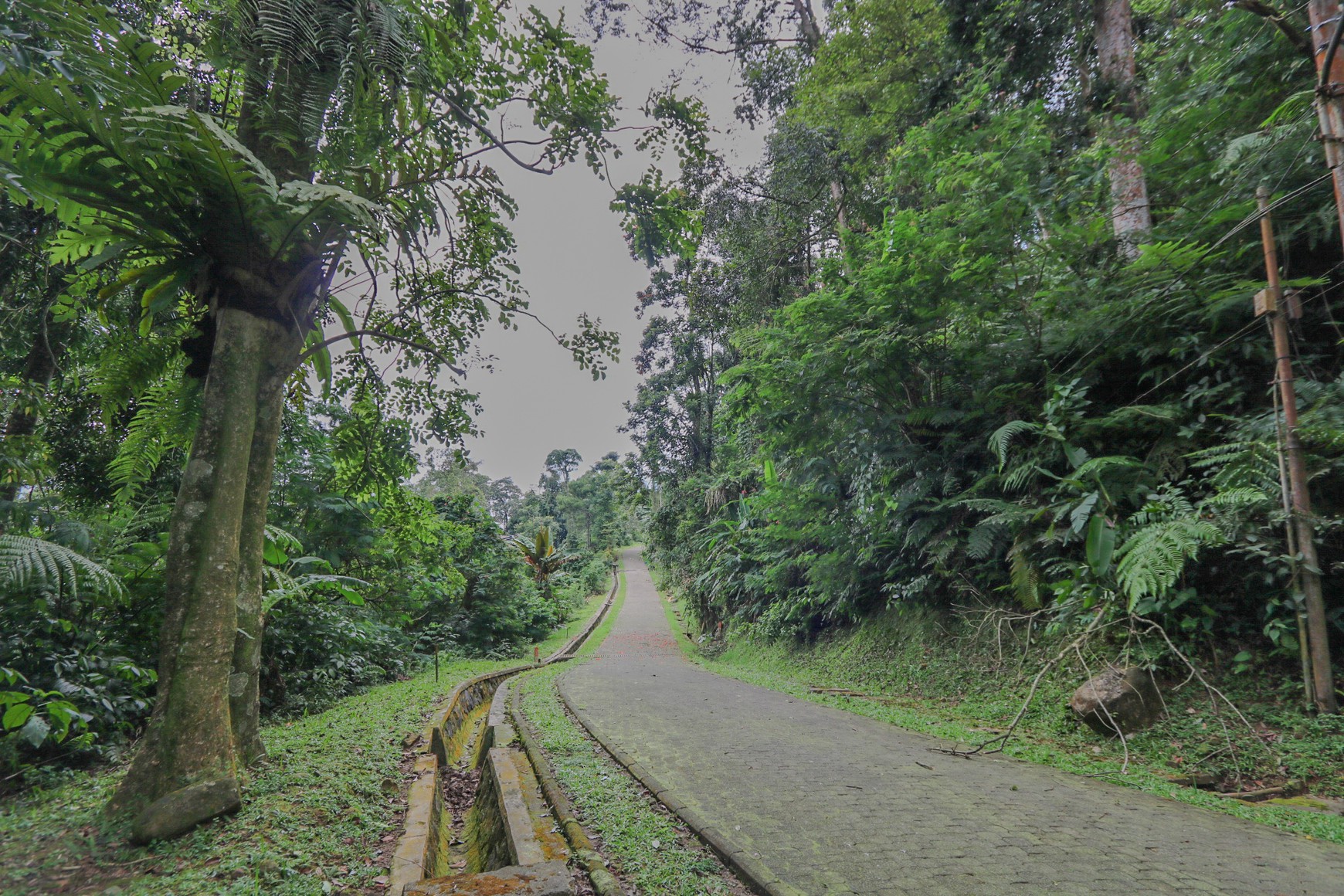 TANAH KAVLING, VIEW INDAH DI MEGA MENDUNG, PUNCAK, AKSES MUDAH DARI SENTUL CITY, BOGOR