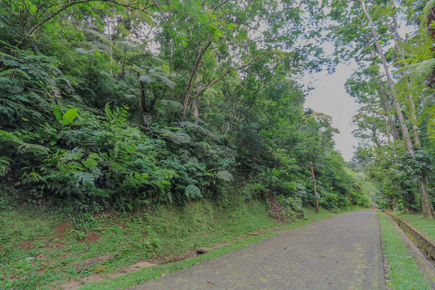 TANAH KAVLING, VIEW INDAH DI MEGA MENDUNG, PUNCAK, AKSES MUDAH DARI SENTUL CITY, BOGOR