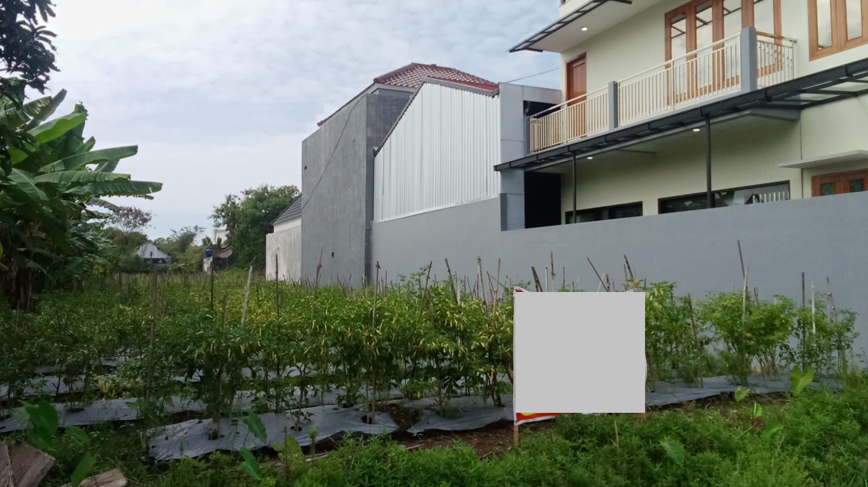 Tanah Sawah Luas 977 Meter Persegi Lokasi di Jalan Kabupaten Dekat RSA UGM Trihanggo Sleman 