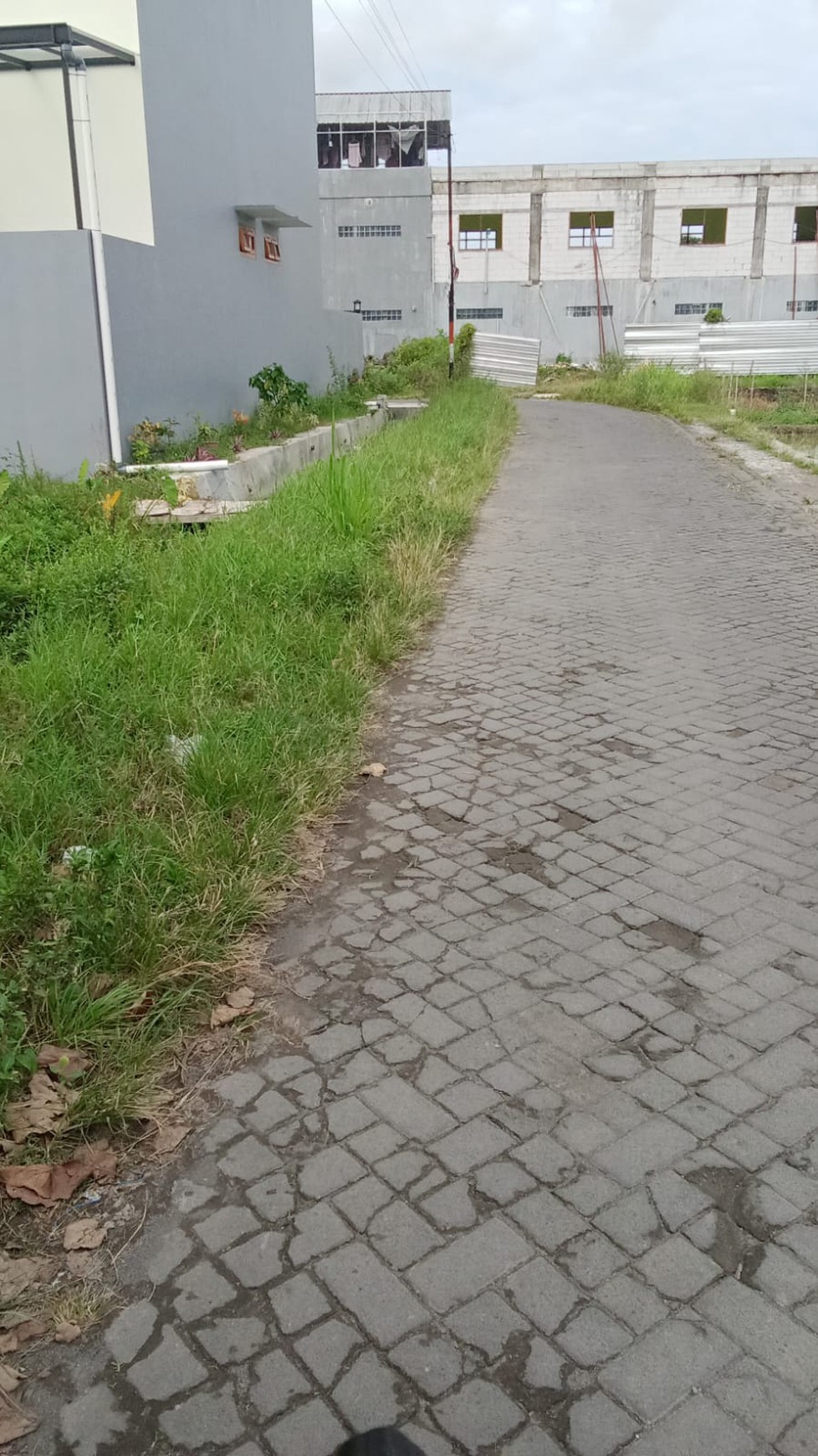 Tanah Sawah Luas 977 Meter Persegi Lokasi di Jalan Kabupaten Dekat RSA UGM Trihanggo Sleman 