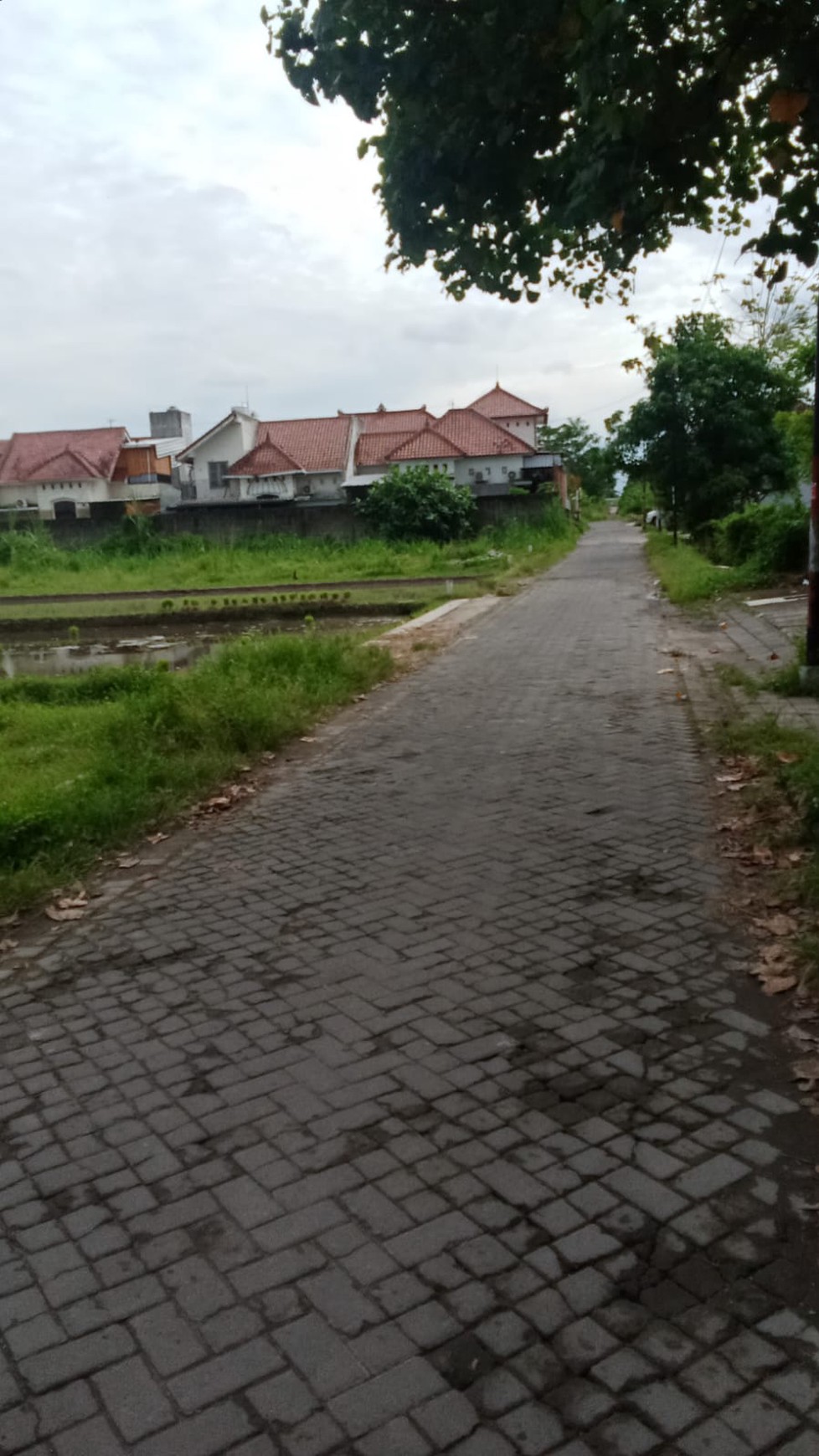 Tanah Sawah Luas 977 Meter Persegi Lokasi di Jalan Kabupaten Dekat RSA UGM Trihanggo Sleman 