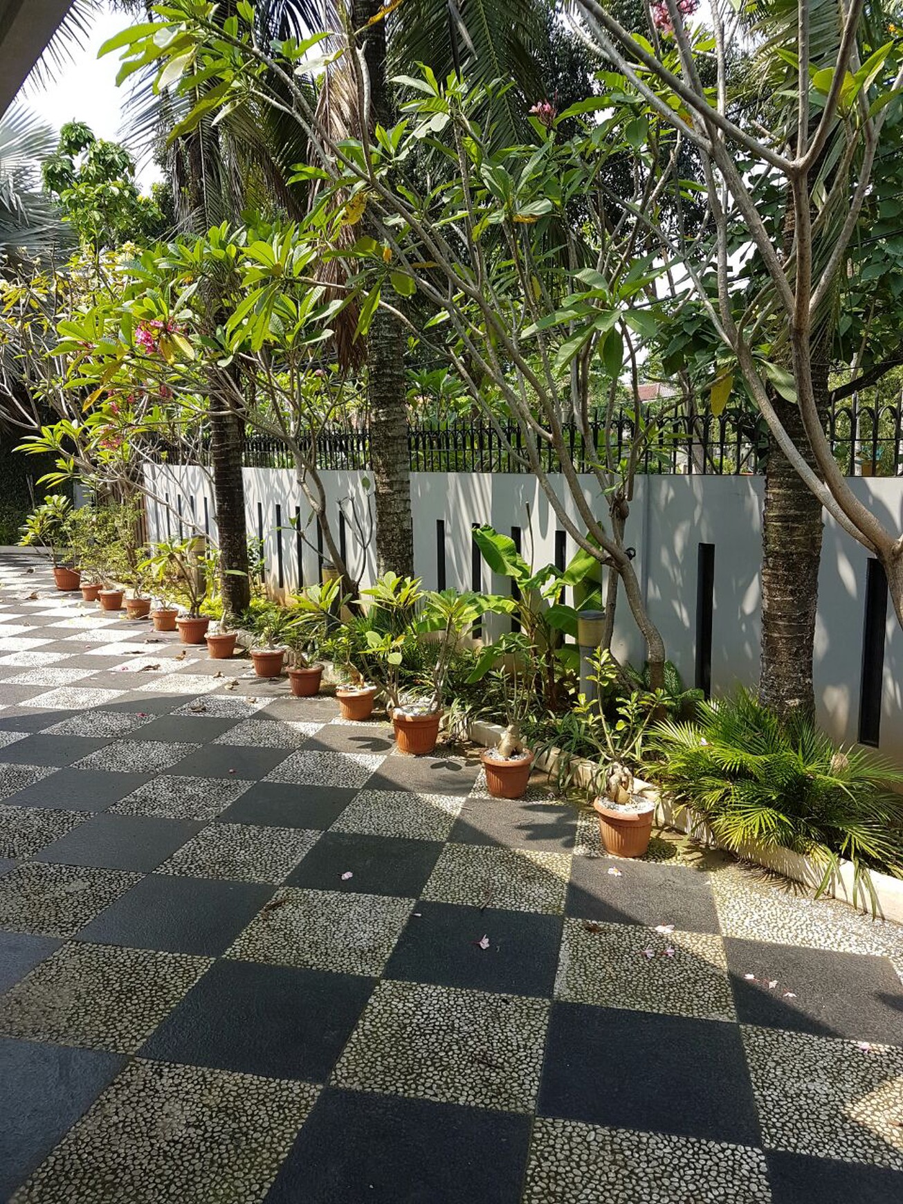 Rumah asri di Kemang Timur. Jakarta Selatan...