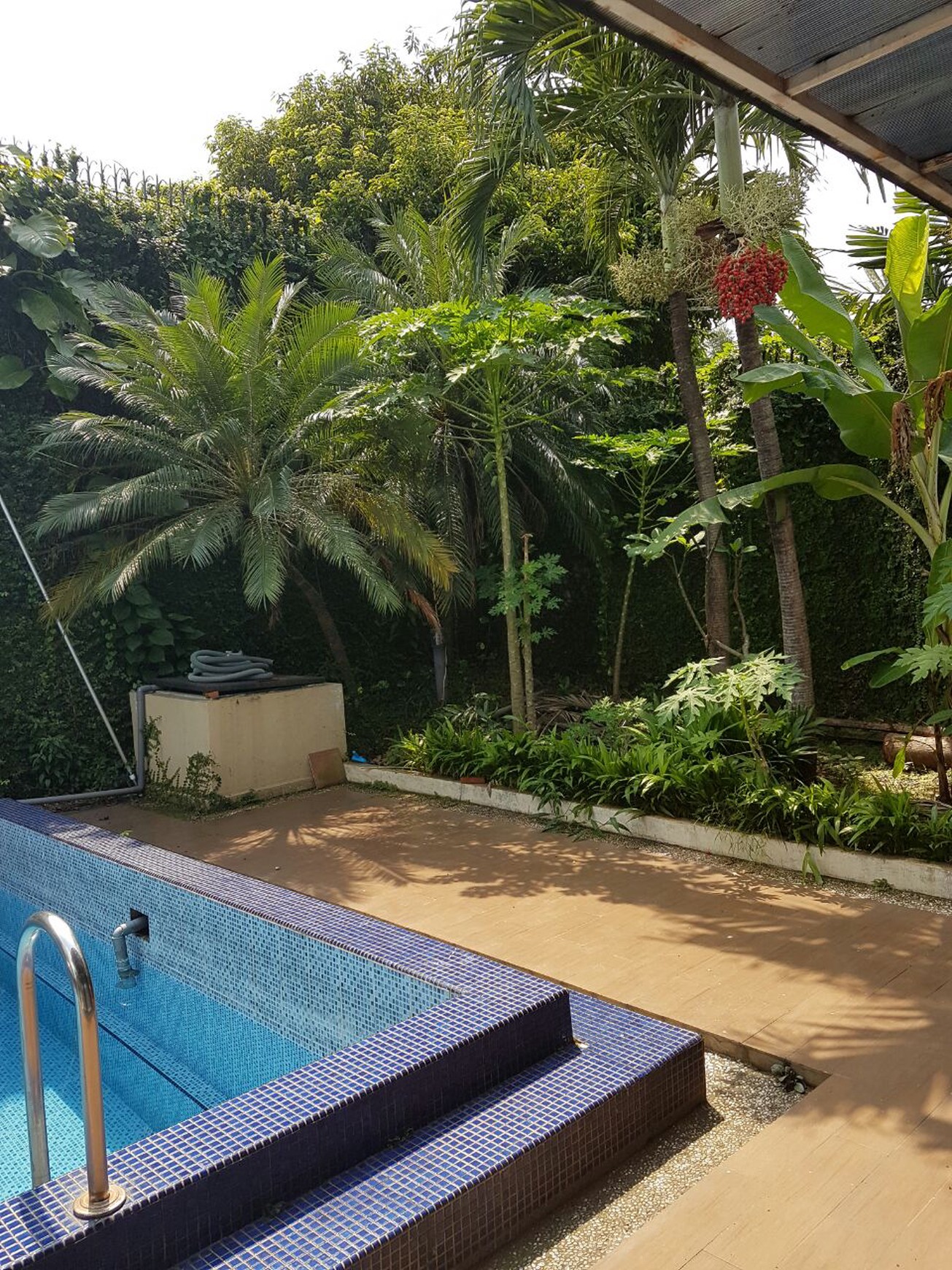 Rumah asri di Kemang Timur. Jakarta Selatan...