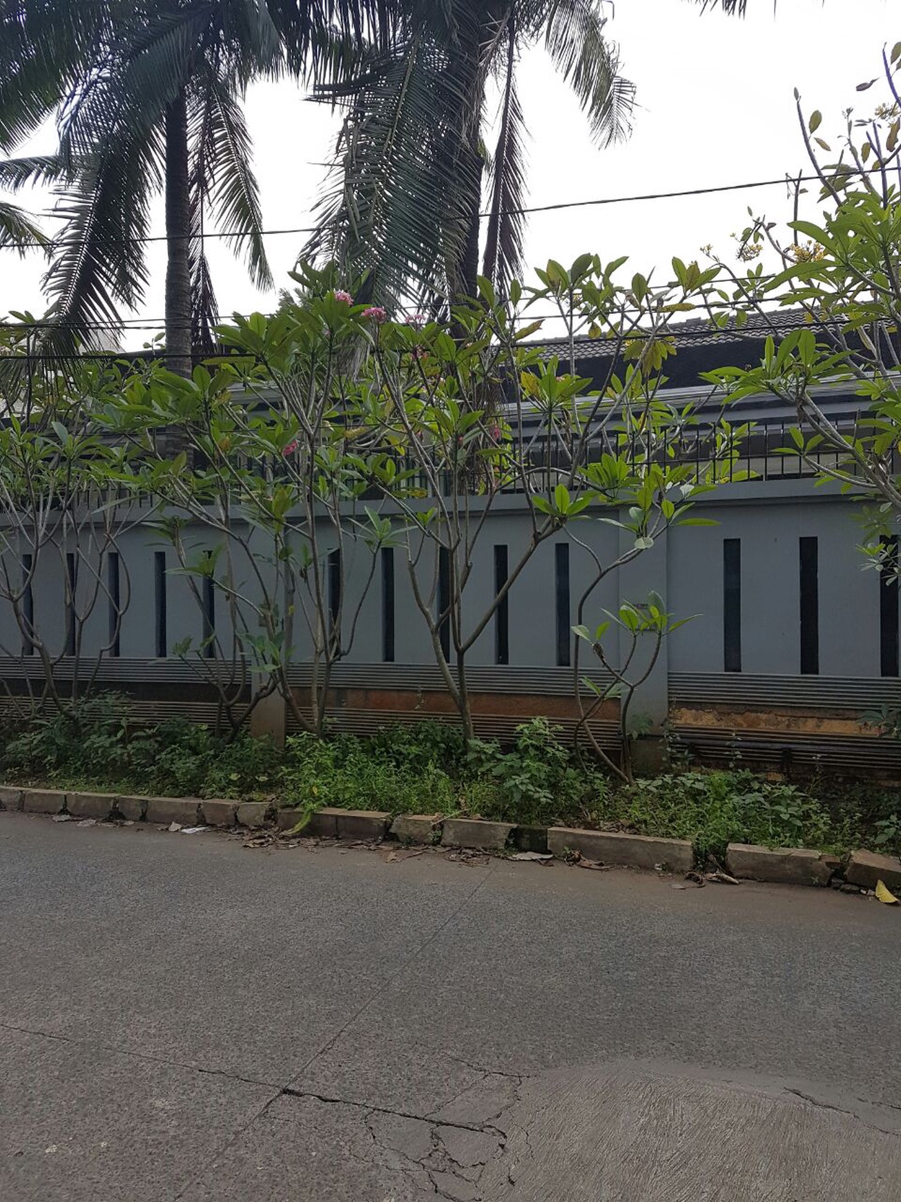 Rumah asri di Kemang Timur. Jakarta Selatan...