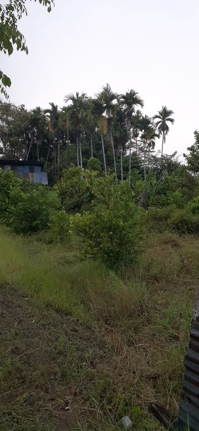 Kavling Luas Siap Bangun Lokasi Kota Sangat Strategis @Kuranji, Padang