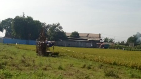 Tanah Luas di daerah CIlengsi Jawa Barat akses depan Jalan sudah COR