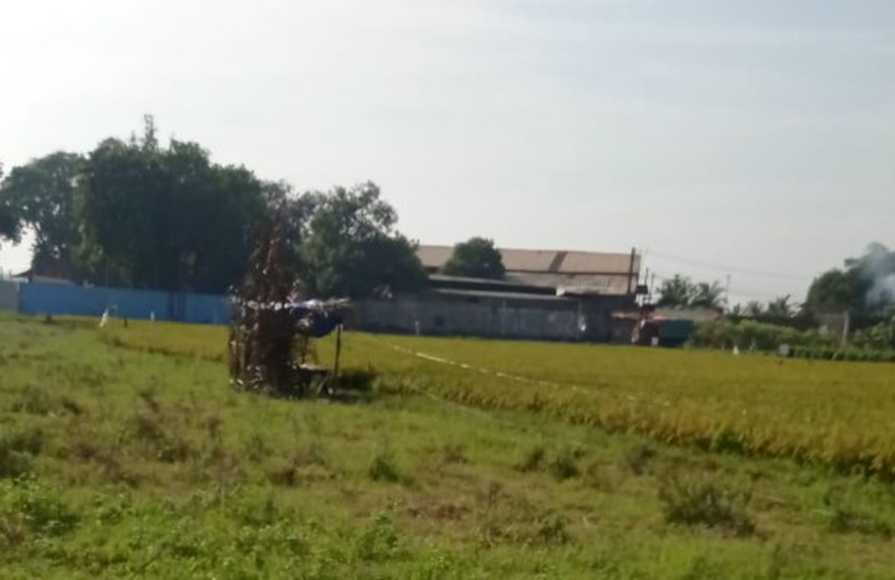 Tanah Luas di daerah CIlengsi Jawa Barat akses depan Jalan sudah COR