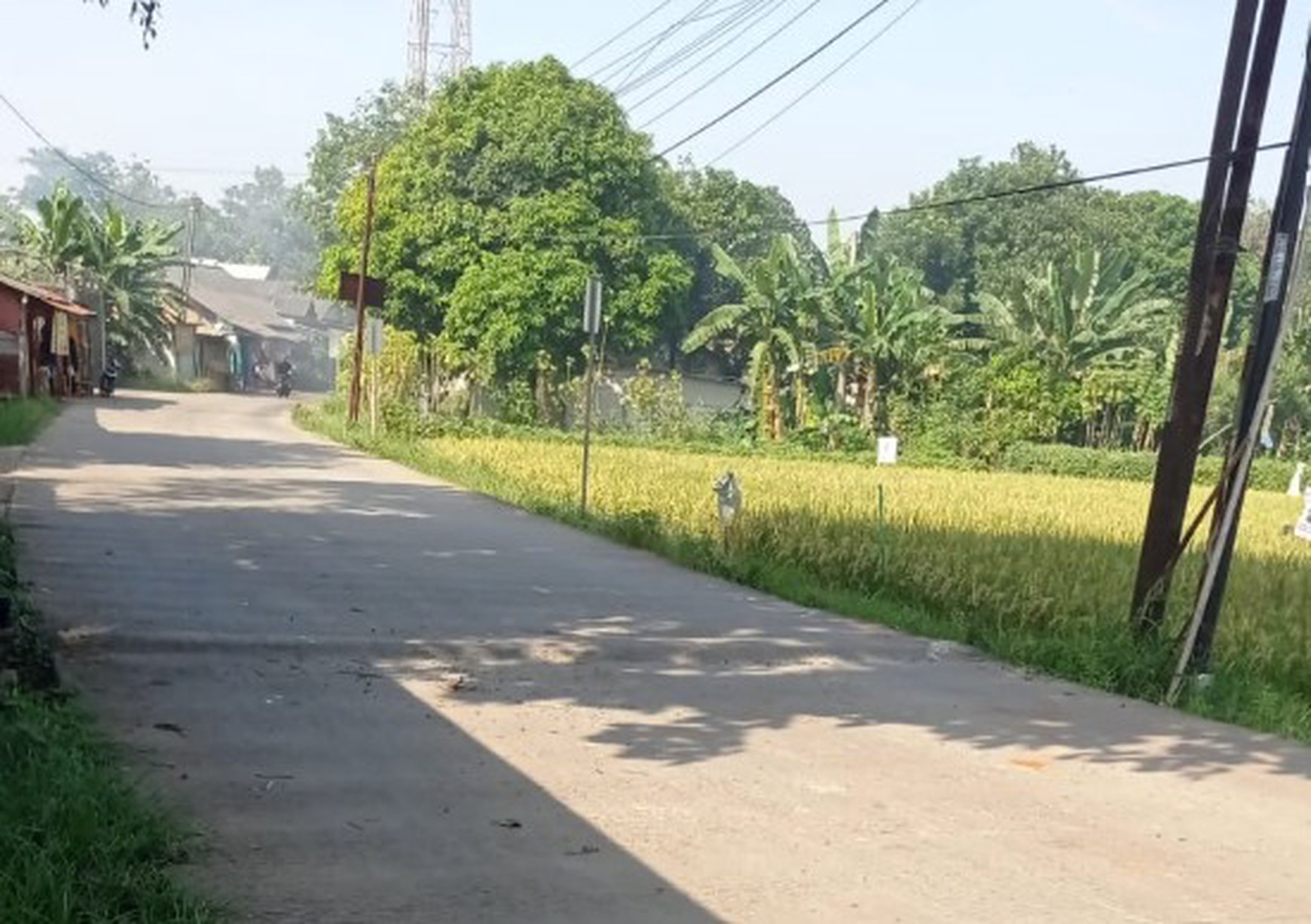 Tanah Luas di daerah CIlengsi Jawa Barat akses depan Jalan sudah COR