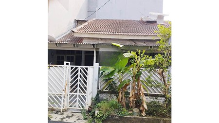 Rumah Kelapa Nias, Kelapa Gading