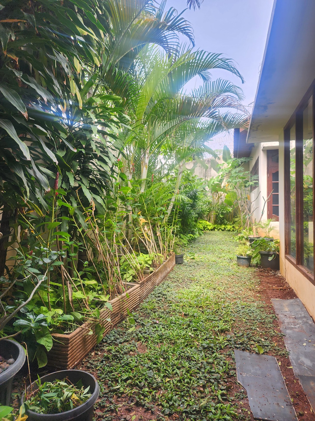 Disewakan Rumah Mewah di Simprug