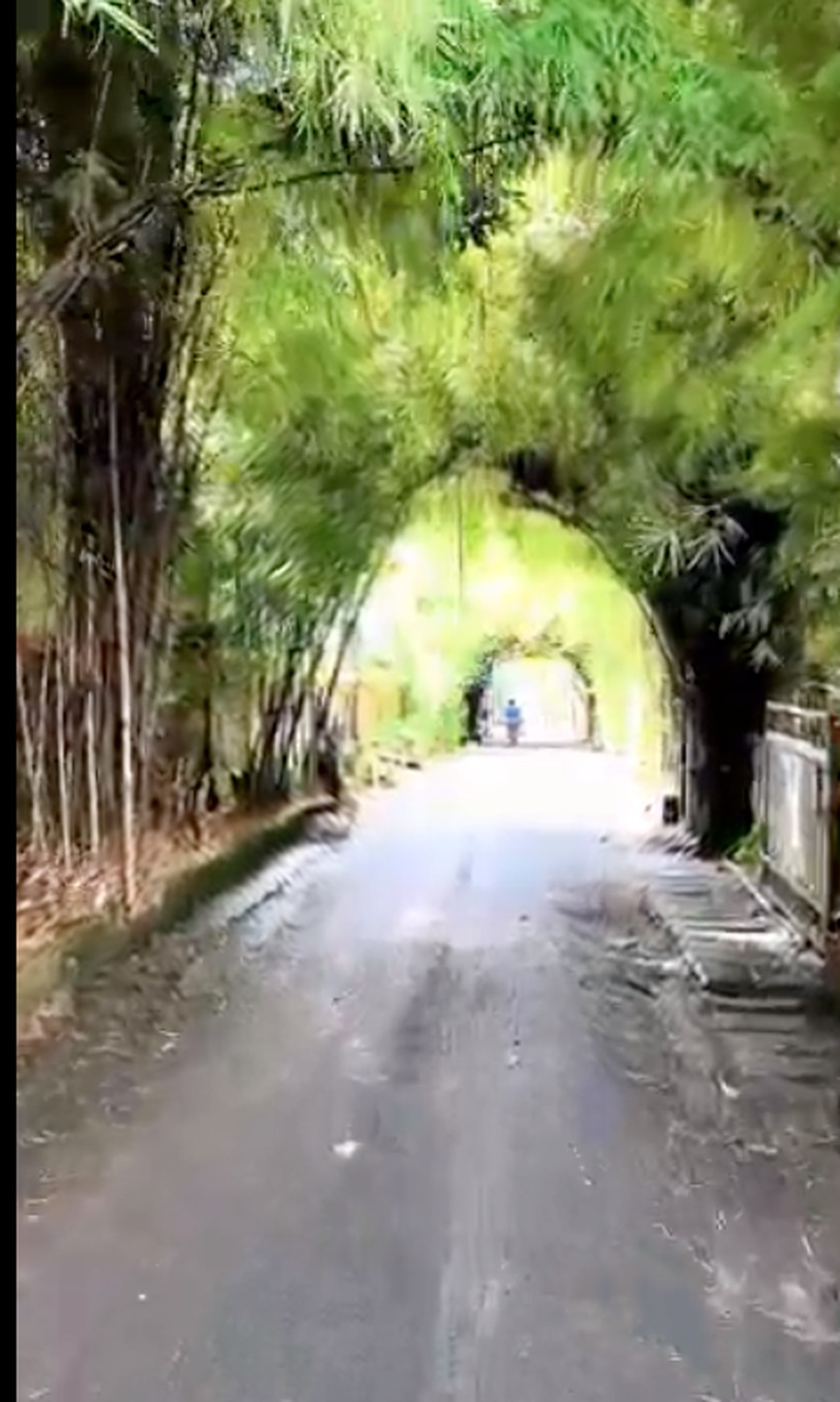 Villa Leasehold 2 bedrooms in Mengwi Bali