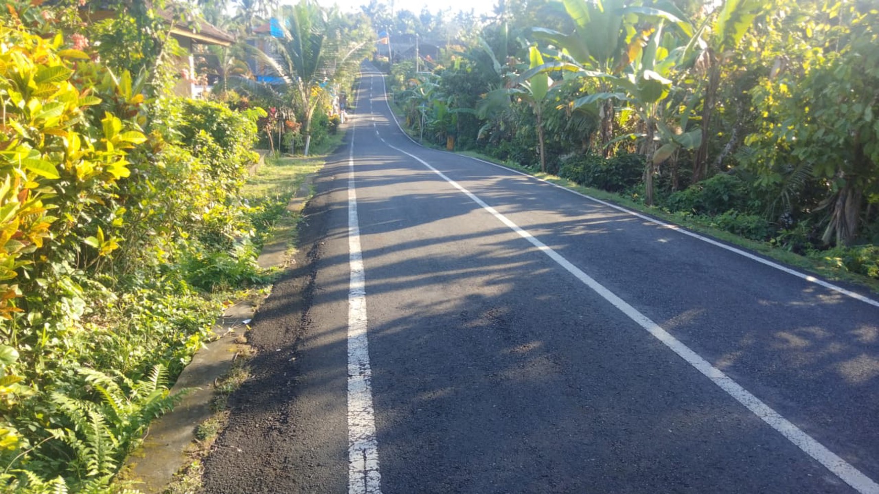 Land Freehold In Great Location Selemadeg Tabanan Bali