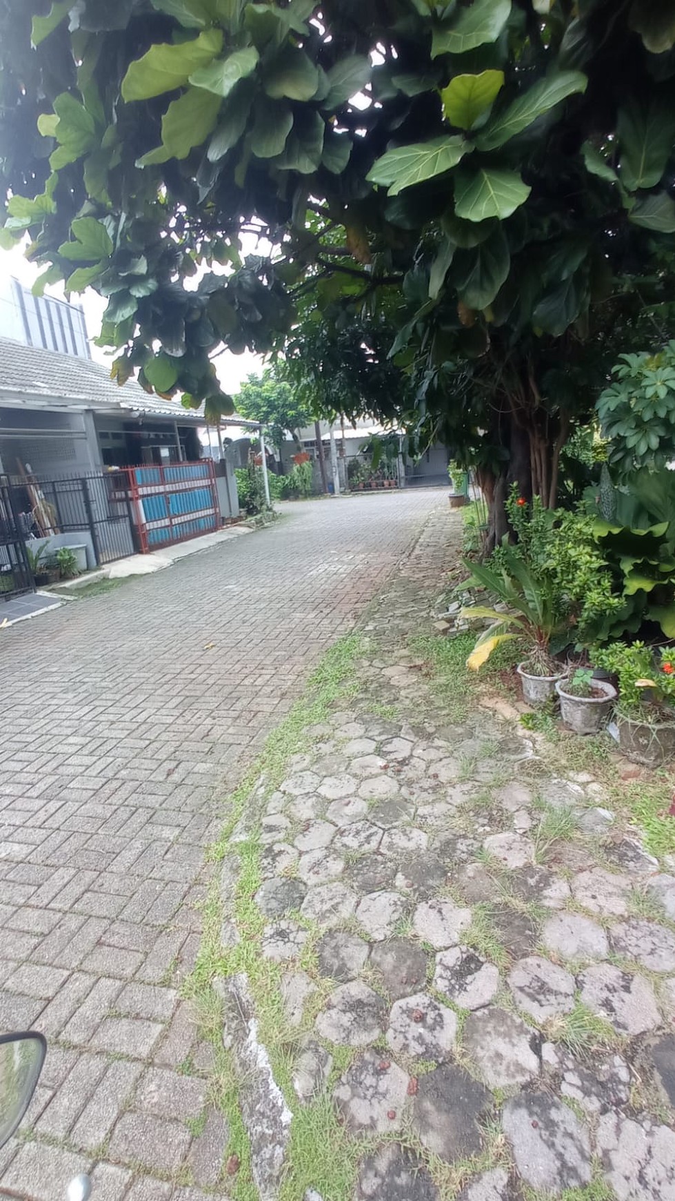 Rumah Rapih Depan Taman Nusa Loka BSD
