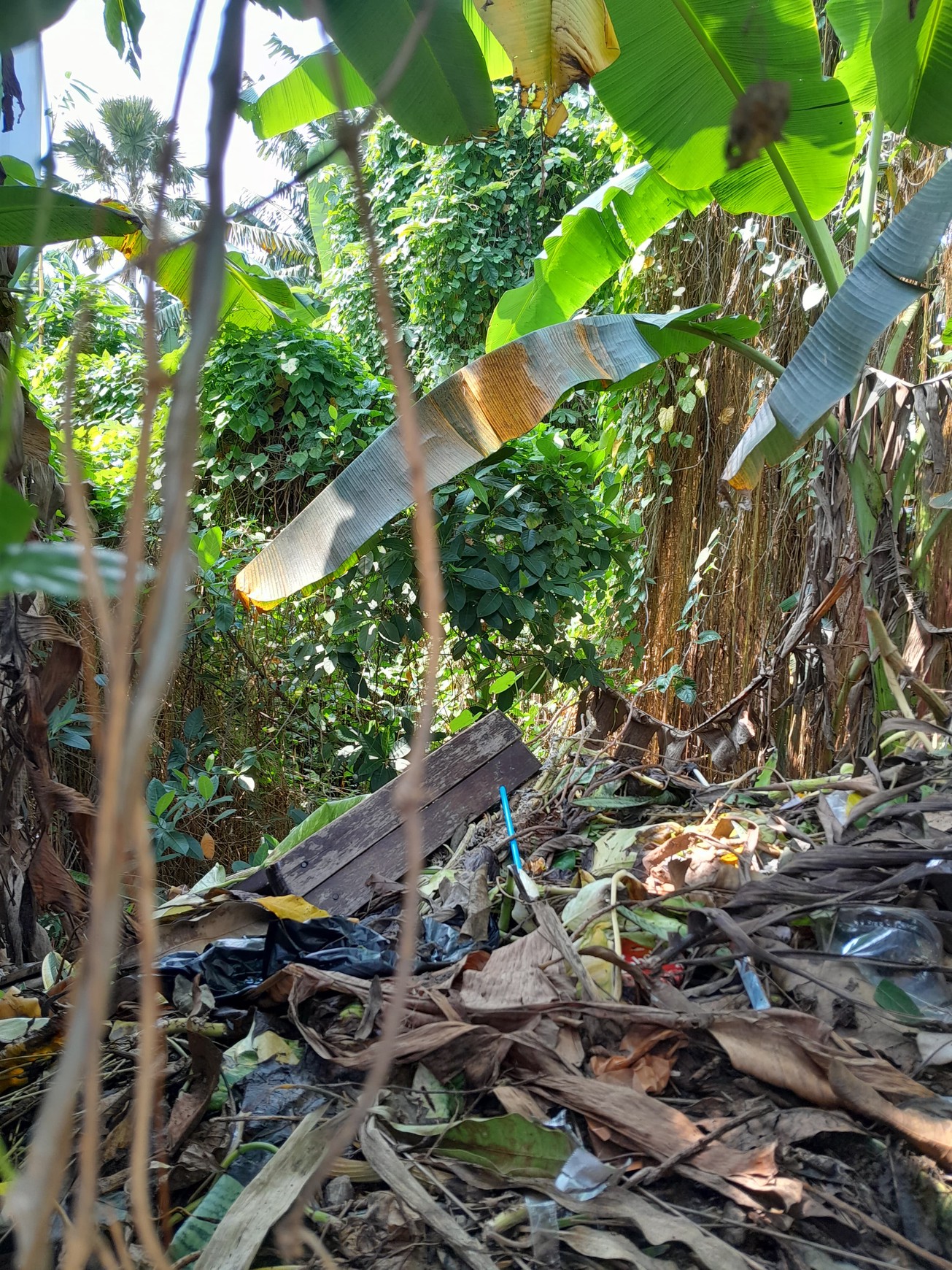 Kavling Siap Bangun Di Jl Mimosa Pejaten Jakarta Selatan