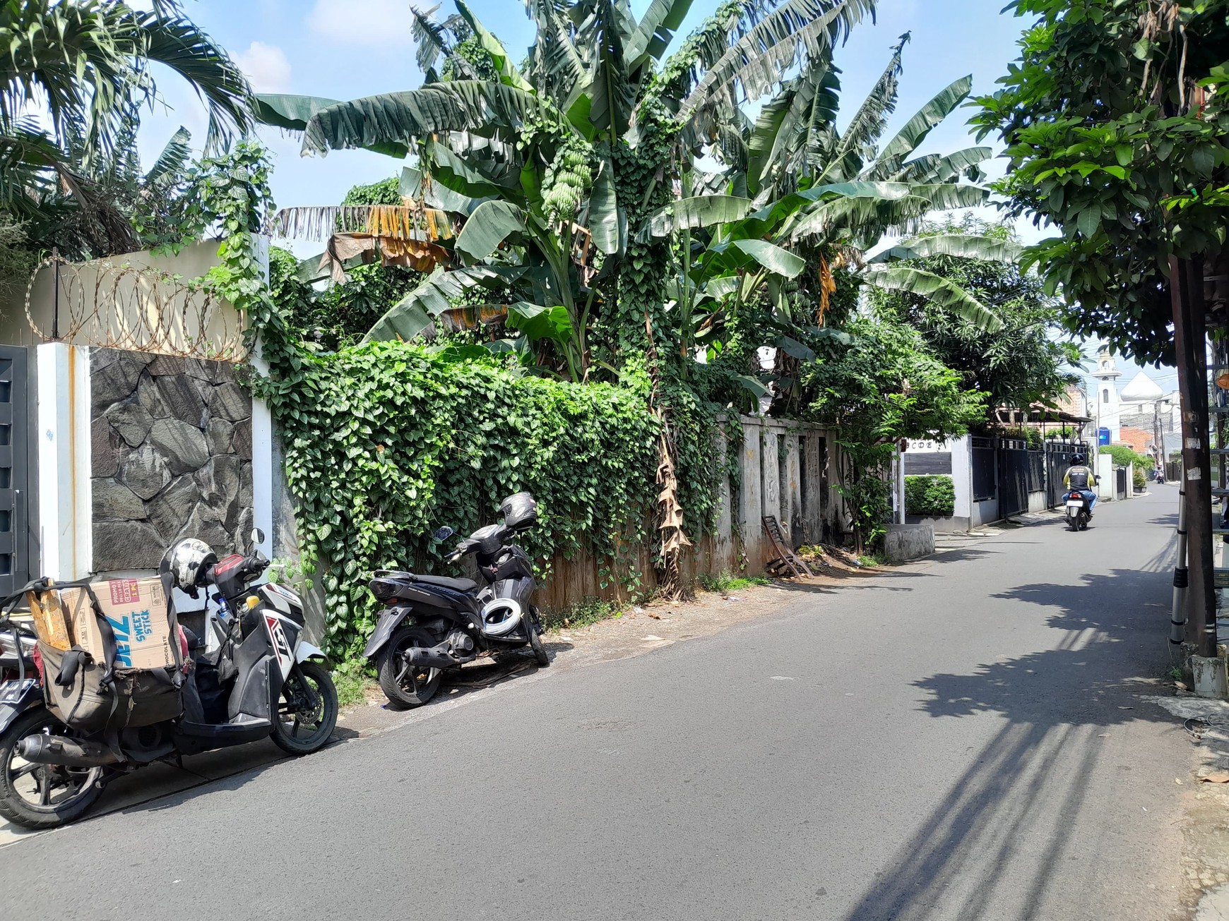 Kavling Siap Bangun Di Jl Mimosa Pejaten Jakarta Selatan