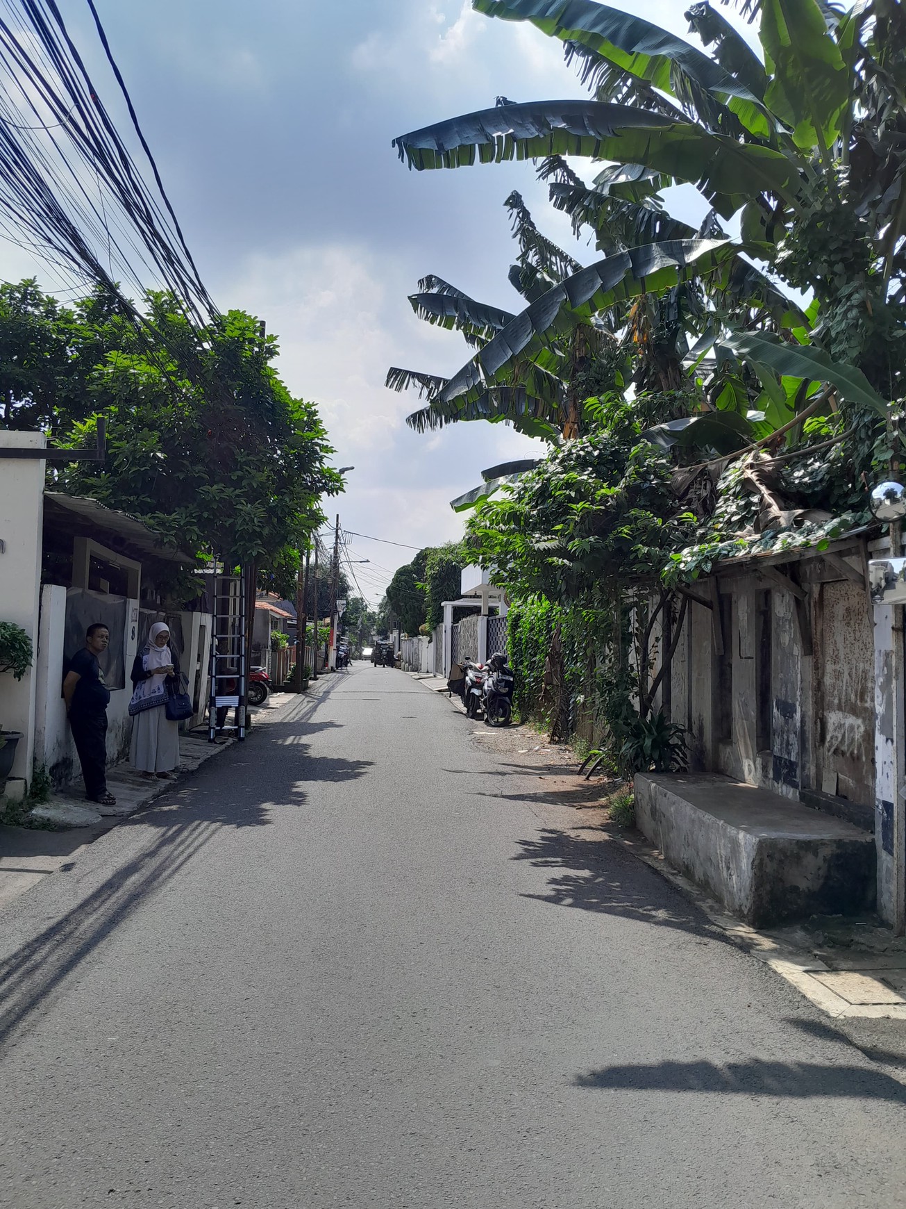 Kavling Siap Bangun Di Jl Mimosa Pejaten Jakarta Selatan