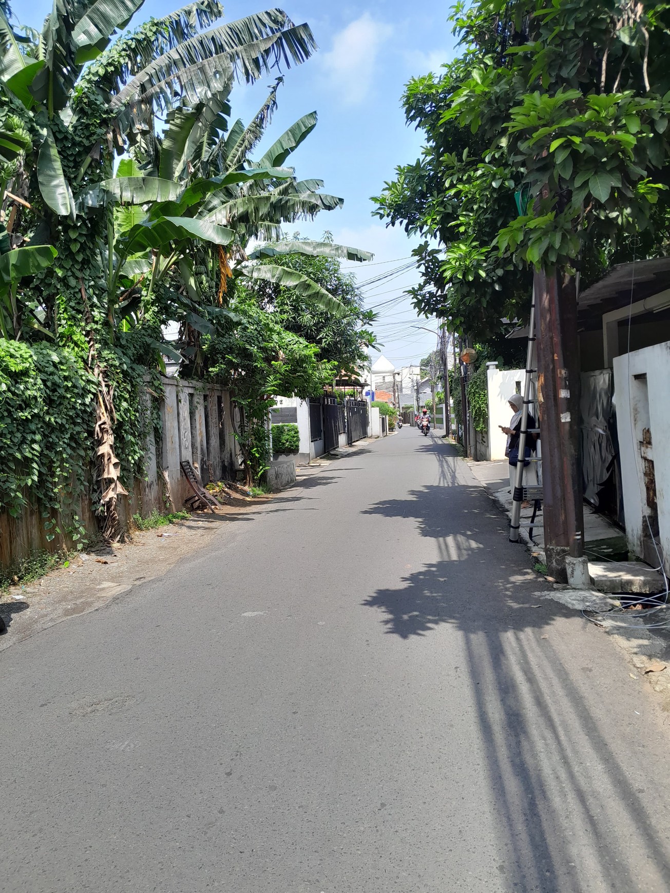 Kavling Siap Bangun Di Jl Mimosa Pejaten Jakarta Selatan