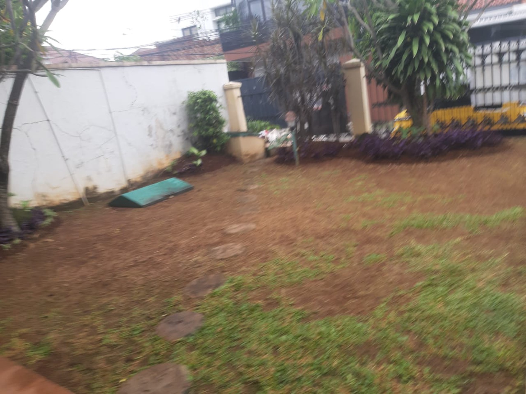 Rumah Bagus Di Jl Pelita Cilandak Jakarta Selatan