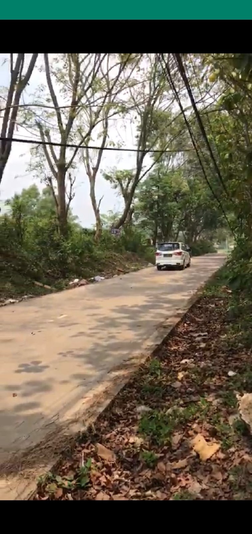 Dijual tanah kavling beserta 600 buah pohon jati mas di desa sukabares waringin kurung serang banten