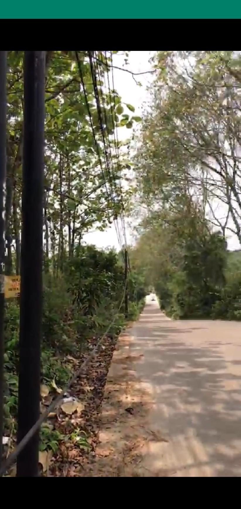 Dijual tanah kavling beserta 600 buah pohon jati mas di desa sukabares waringin kurung serang banten