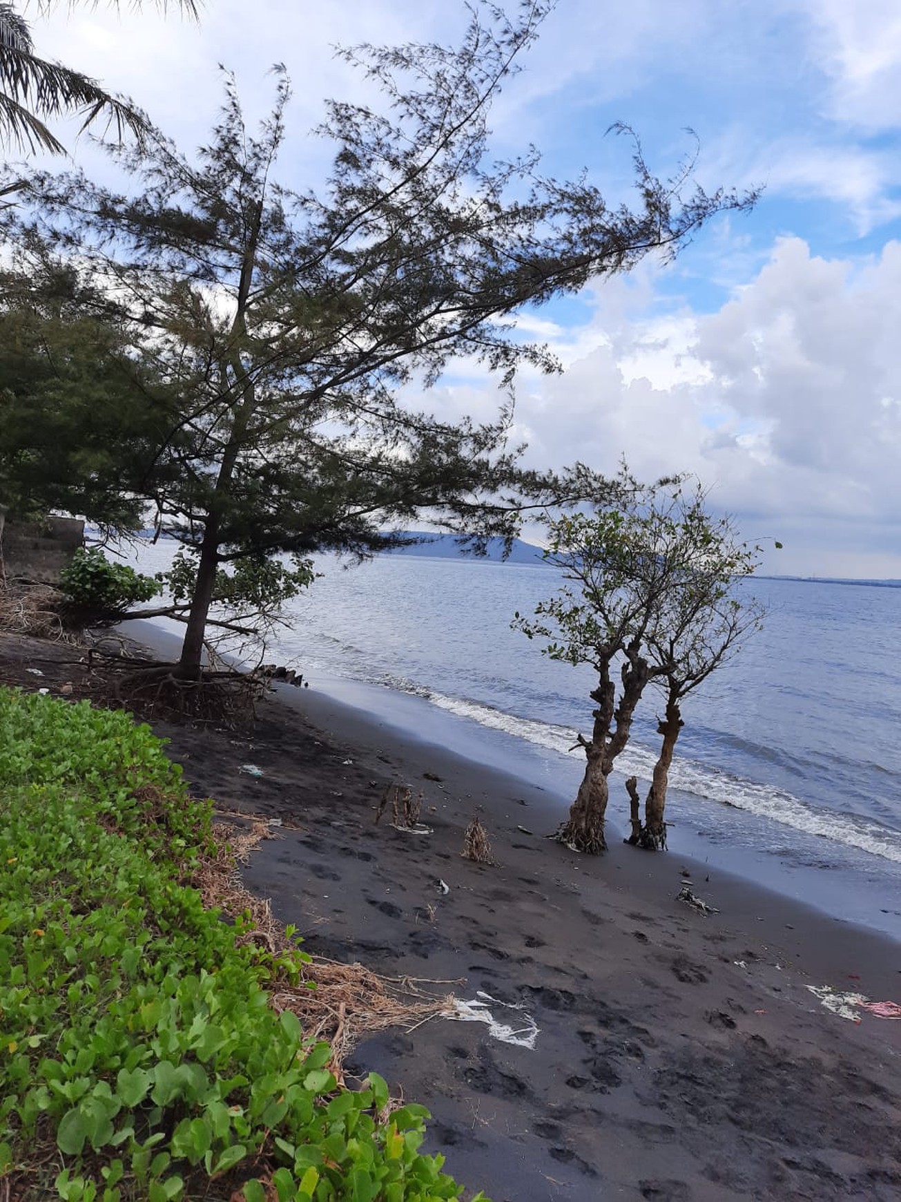 Dijual Tanah Di Banyuwangi