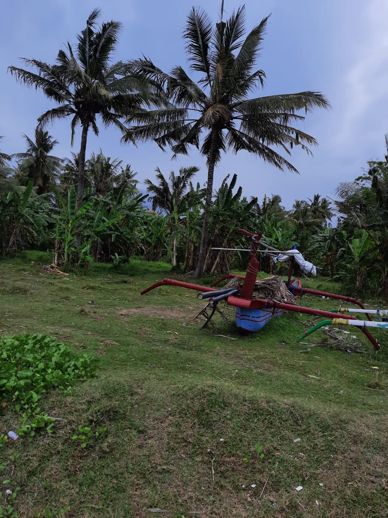 Dijual Tanah Di Banyuwangi
