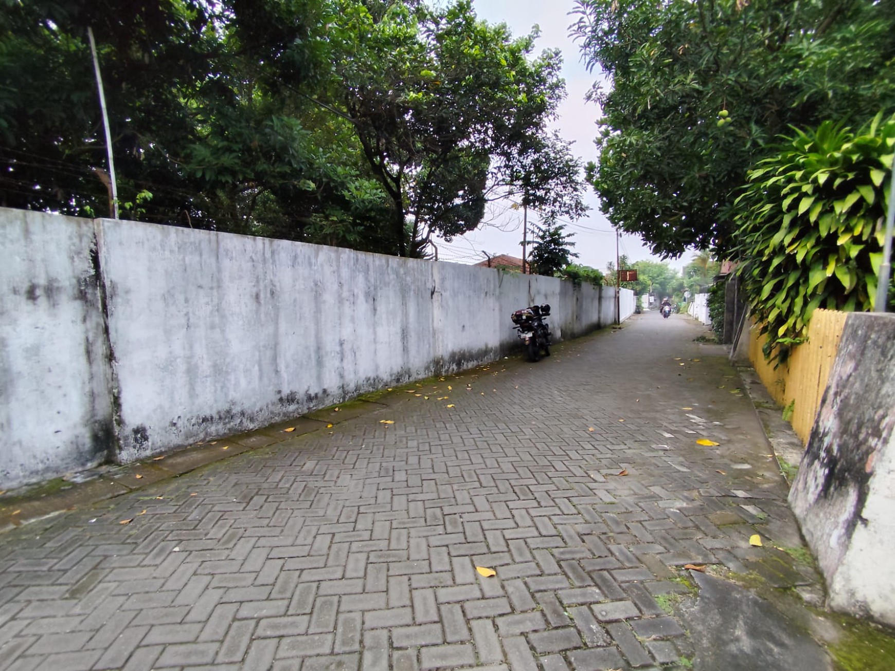 Tanah Bonus Bangunan Dekat Kampus UNY Caturtunggal Depok Sleman
