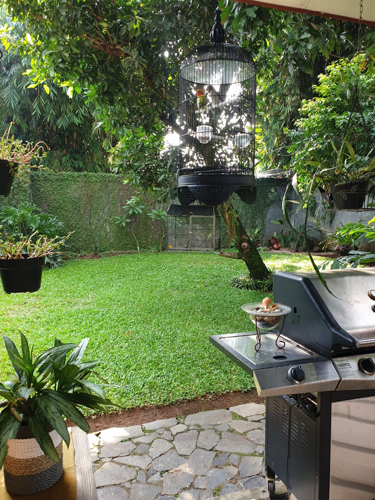 Rumah Villa Tropis Cinangka Depok