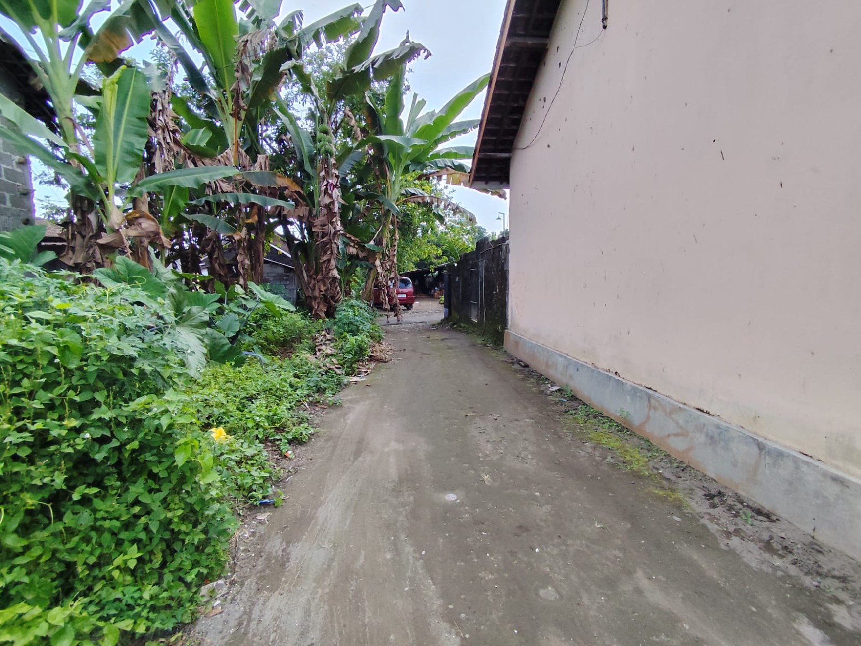 Tanah Pekarangan 249 Meter Persegi Lokasi Jalan Sleman-Turi Donokerto Sleman
