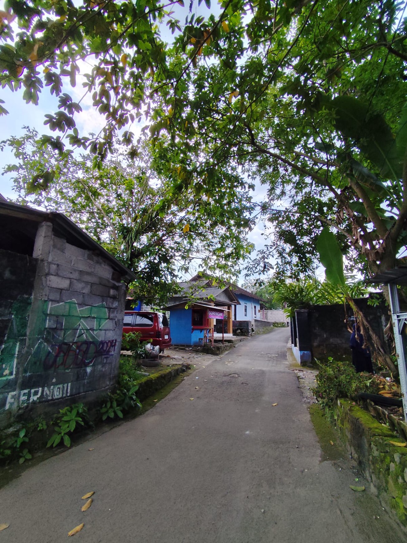 Tanah Pekarangan 249 Meter Persegi Lokasi Jalan Sleman-Turi Donokerto Sleman