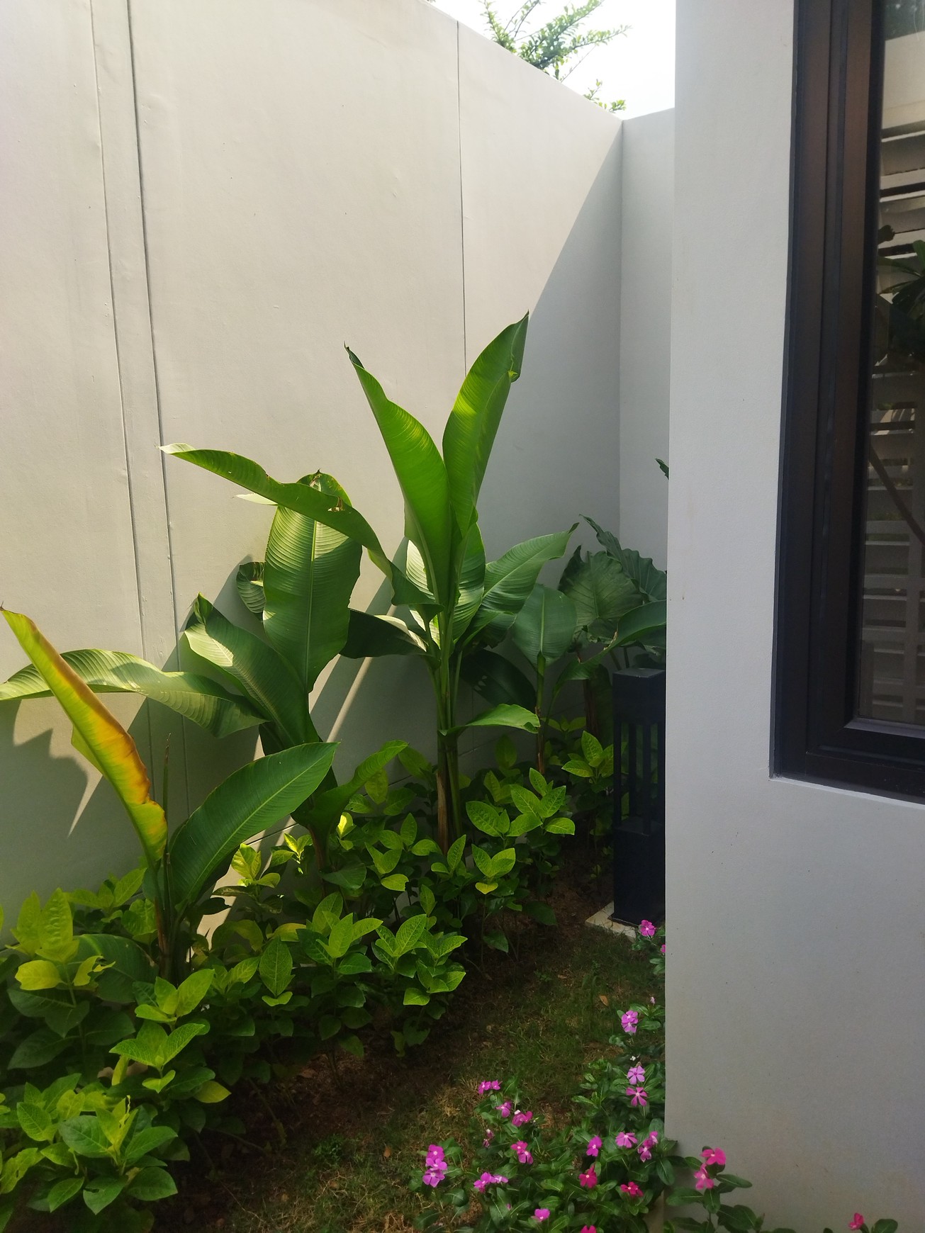 Brand New Rumah Style Modern Dgn Plafon Tinggi Di Sentul City Bogor