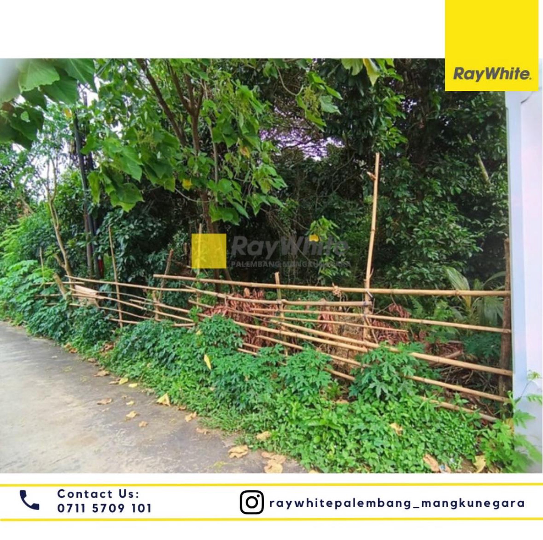 DI JUAL TANAH DAN BAGUNAN DI JL BETAWI RAYA KELURAHAN LEBONG GAJAH KEC SAKO PALEMBANG