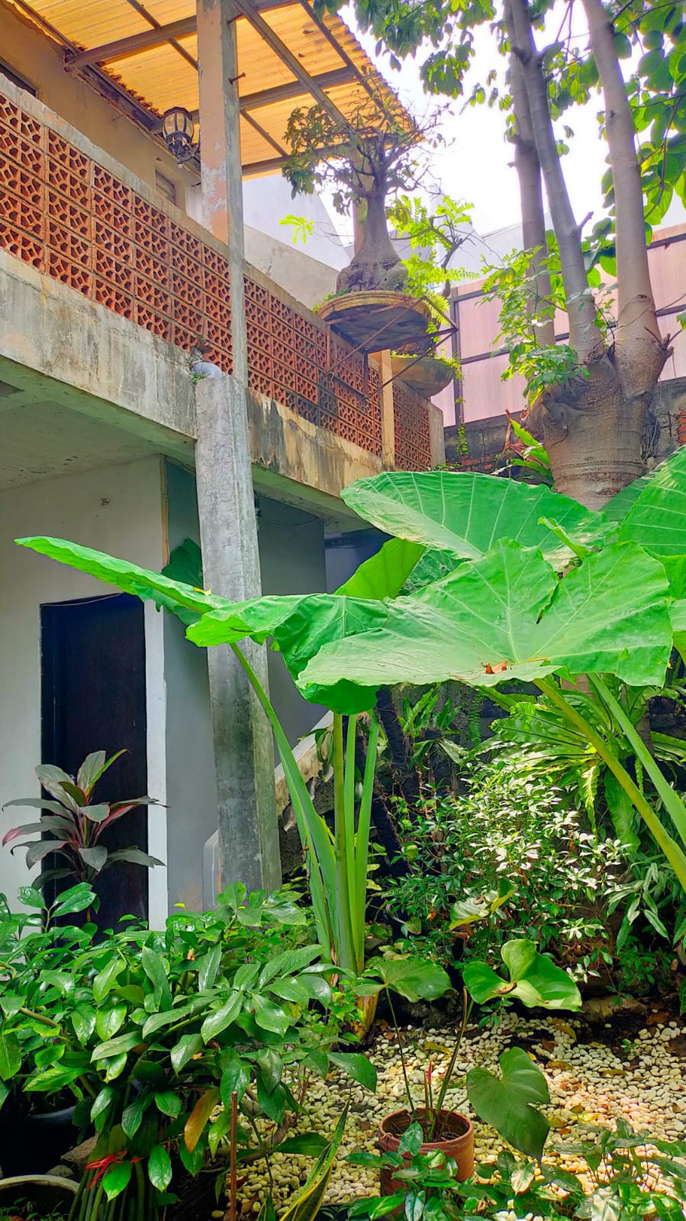 Rumah Klasik Hitung Tanah 279m2 Dalam Komplek Area Mampang Prapatan